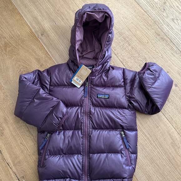 Patagonia Hi-Loft Down Sweater Hoody - Size 3T - New with Tags - Picture 2 of 4